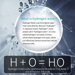 Lcd Display Reminder Hot And Cold Drinking Water Dispenser Intelligent Ro 2200W